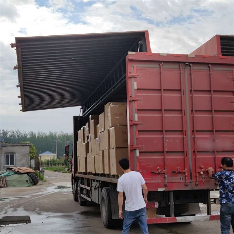 安次区扎囊县：物流专线的高效货运之旅